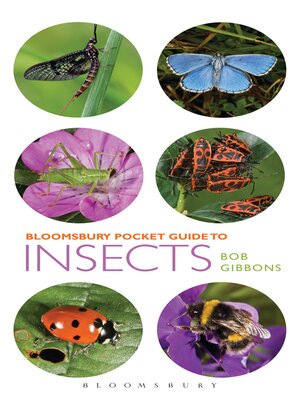cover image of Pocket Guide to Insects